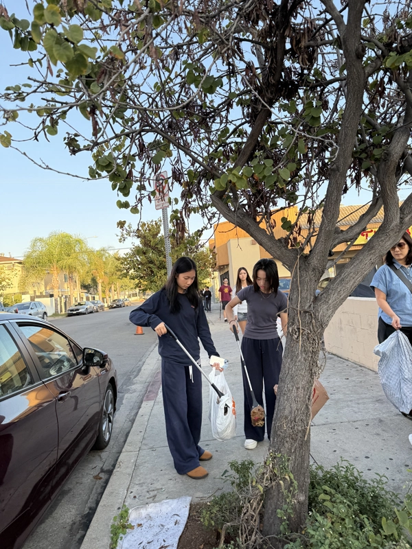 Neighborhood Cleaning