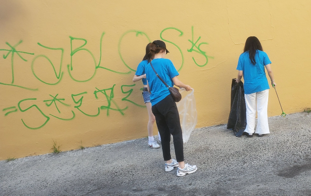 Neighborhood Cleaning