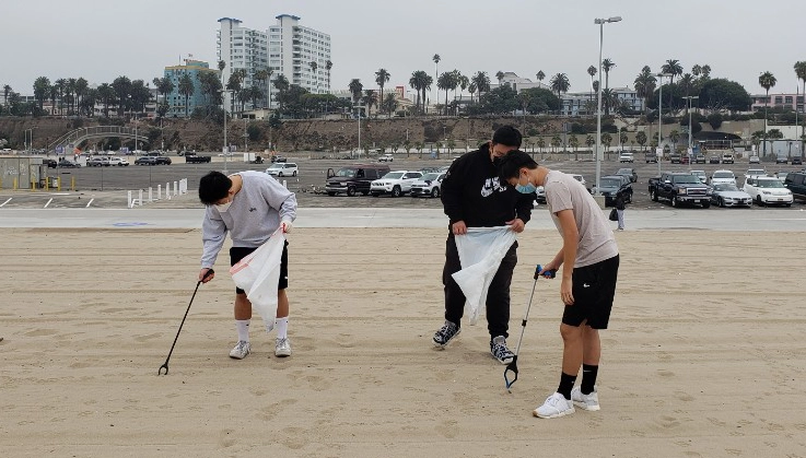 Beach Cleaning