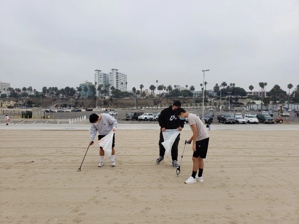 Beach Cleaning