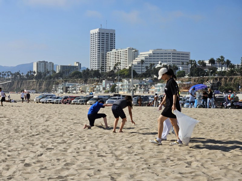 Beach Cleaning