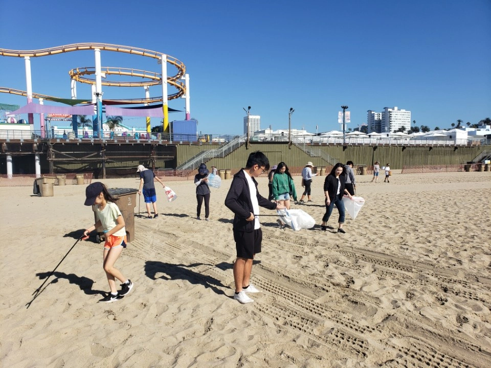 Beach Cleaning