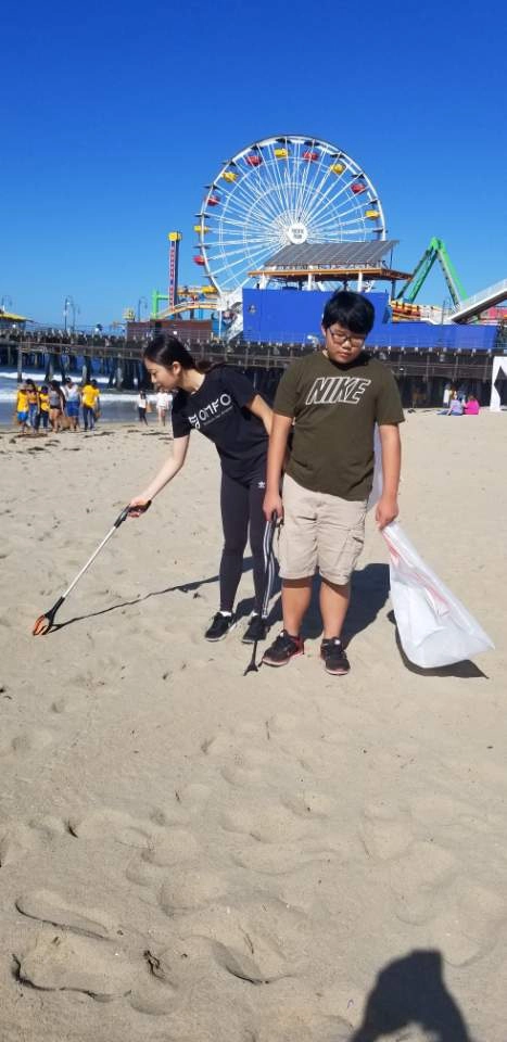 Beach Cleaning